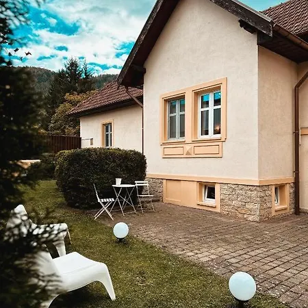 Cozy Old Town Amazing In Historical Villa Brasov