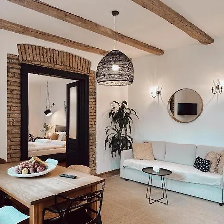 Old Town Amazing In Historical Villa Brasov