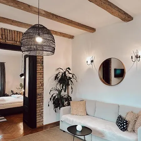 Cozy Old Town Amazing In Historical Villa Brasov