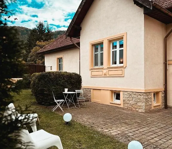 Old Town Amazing In Historical Villa Brasov